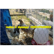 Китайская фабрика Chiken Wire Mesh / Netting